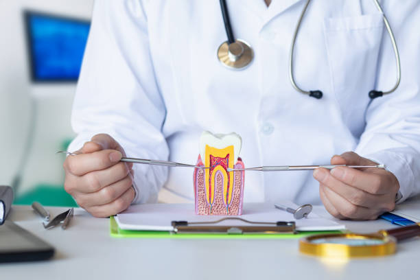 Best Emergency Dental Services for Seniors in Peshtigo, WI